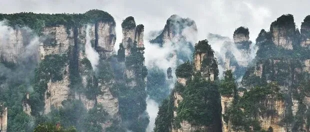 <em>张家界</em>“荒野求生”，宣布提前结束