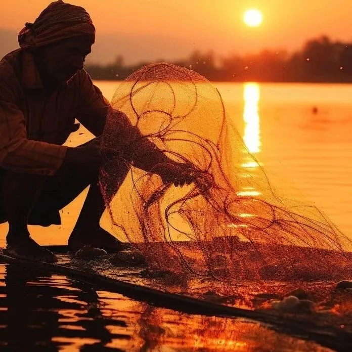 <em>秘鲁</em>中北部捕鱼待观察，近期我国鱼粉报价虚<em>高</em>减少