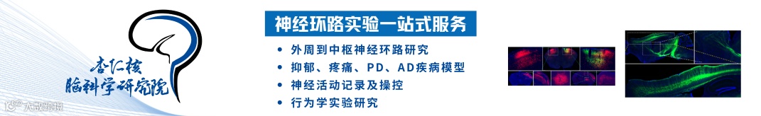 神经环路实验-宣传图.png