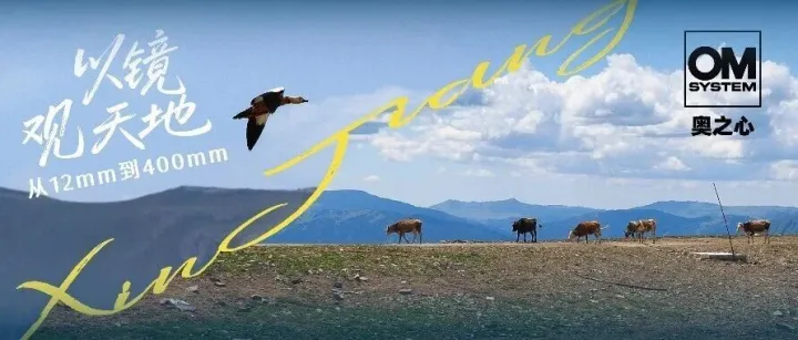 OM5二代户外好伴侣 | 从12mm到400mm 以镜头之眼观天地