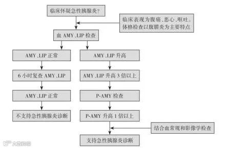 急性胰腺炎实验室分析路径.jpg