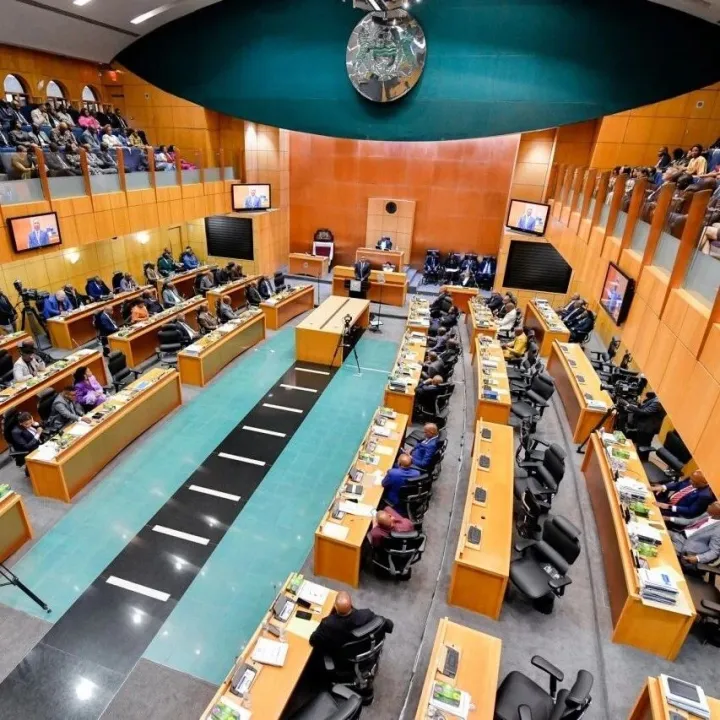 博茨瓦纳｜议长：博中关系持续深化