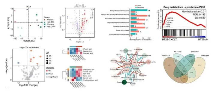 如何进行“转录组+代谢组”联合分析与绘图？