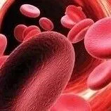 威科出版要闻 | 热烈祝贺 Lippincott 期刊 Blood Science 主编程涛教授当选中国工程院院士！