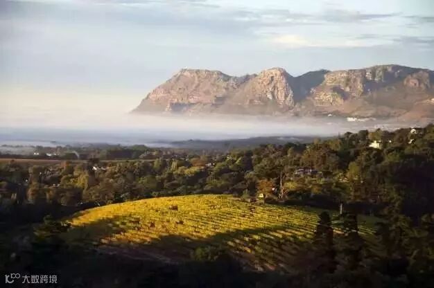 一年四季,从南喝到北