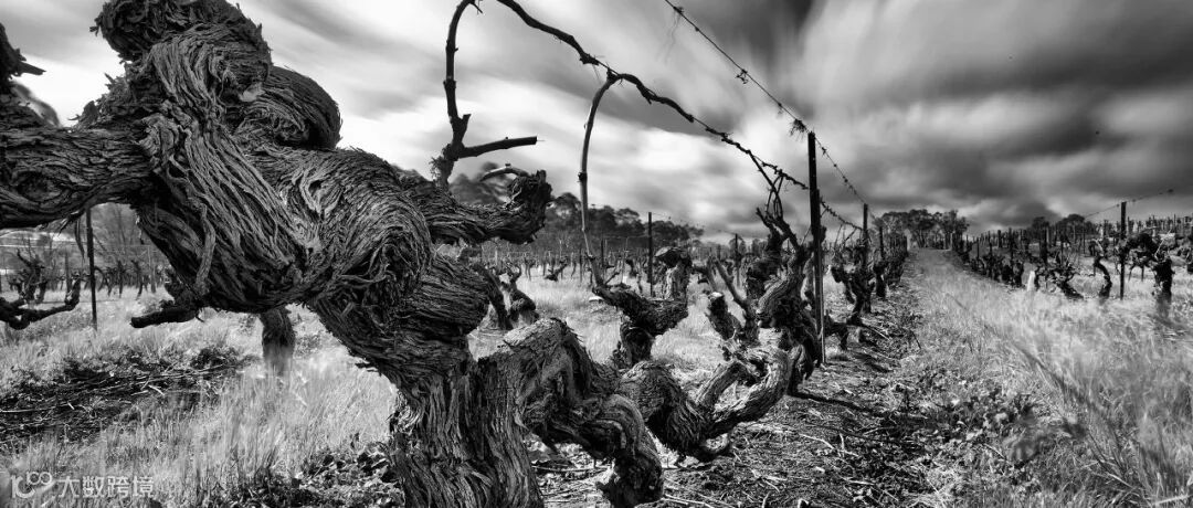 喝澳大利亚葡萄酒的十大理由(下)