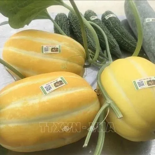 越南亟待建立国家统一的商品溯源体系