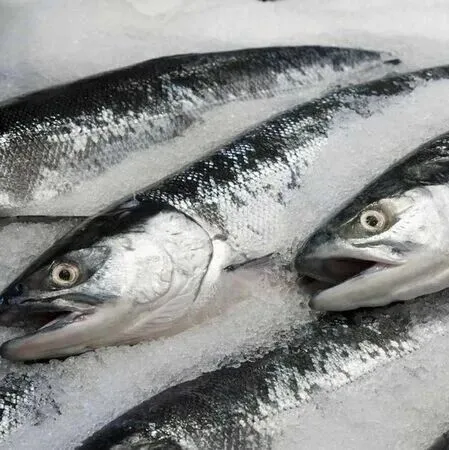 吉尔吉斯通胀加速：水果、鱼类和酒精价格涨幅领跑全年