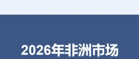 2026年非洲市场潜力行业