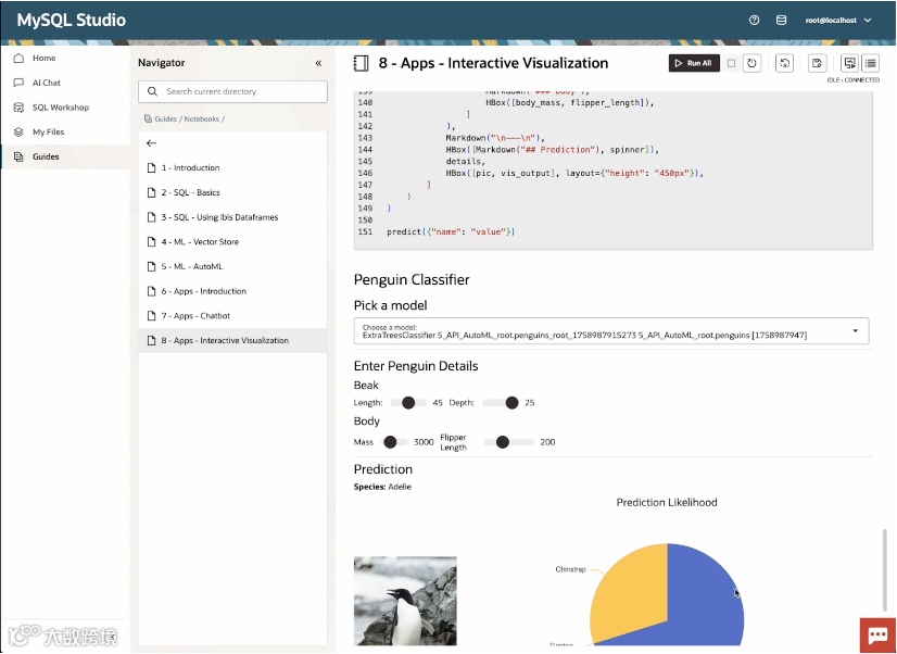 图 3：交互式 Python 笔记本