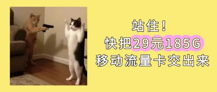 又下架了！？王牌移动流量卡「29元=185G+长期」限时申请了！流量界的破局者！