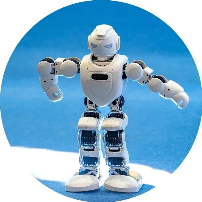 到中东去！中国机器人的奶与蜜之地