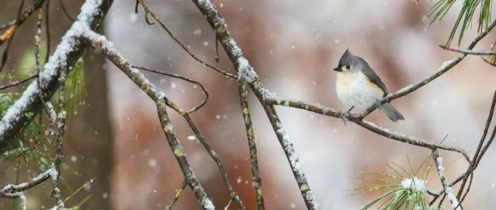 ADI公司：差分放大器产品及未来技术规划