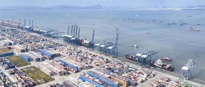 盐田港一国际货柜查获430公斤毒品！集装箱查验或将升级！