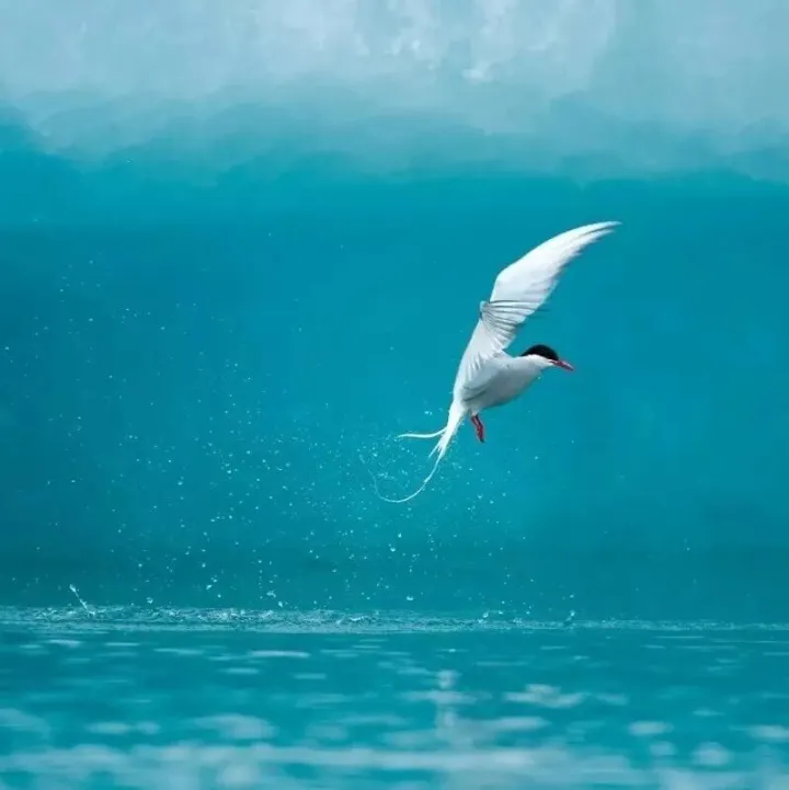 俄羅斯出口企業(yè)營(yíng)收達(dá)3億規(guī)模的行業(yè)