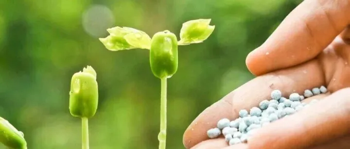 当复合微生物肥料成为主流......