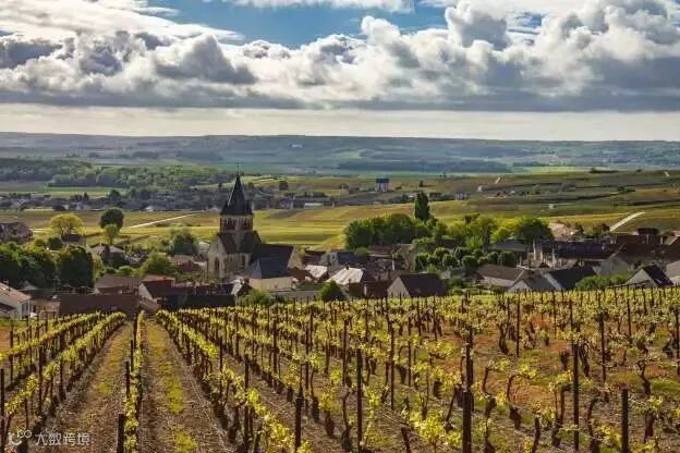 一年四季,从南喝到北