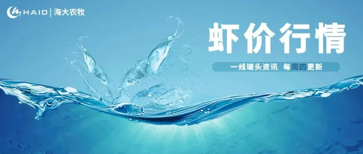 虾价行情 | 存塘见底！缺虾或持续推高虾价？12月11日全球最新塘头价