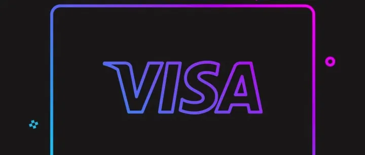 关于外卡收单的那点事之Visa篇（2）