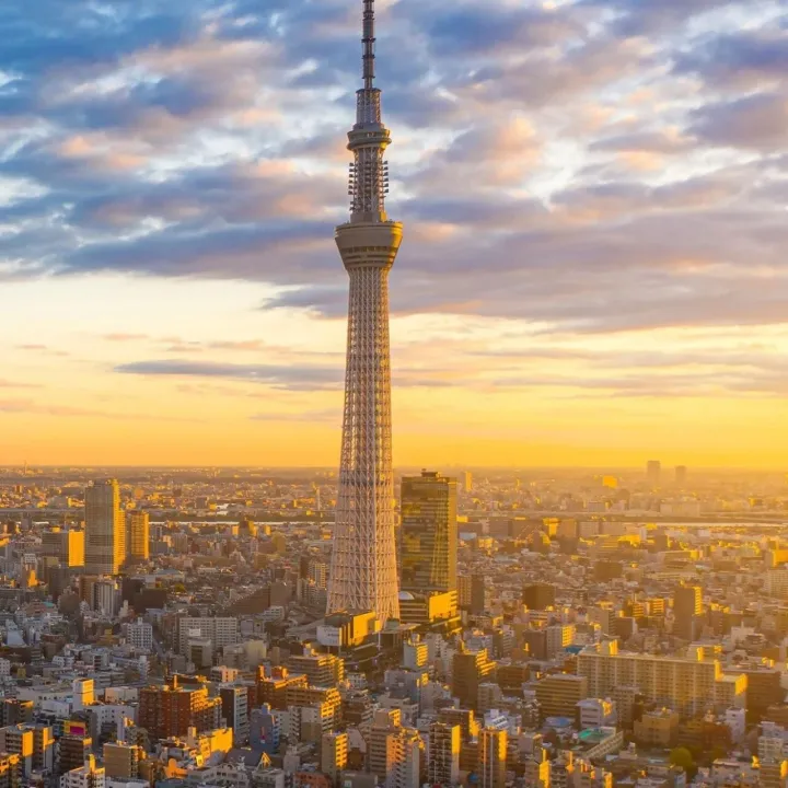 加密货币：全球前50名单