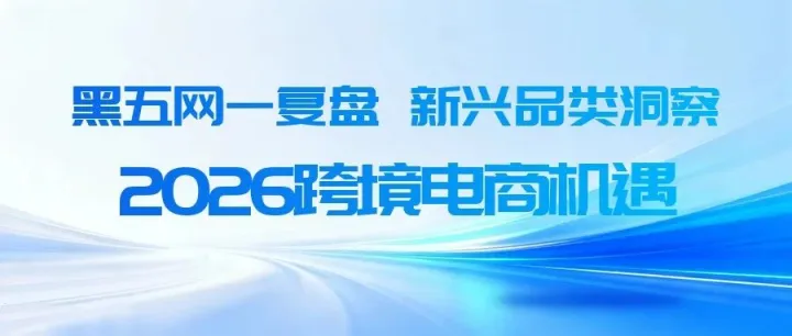 2025黑五网一复盘、新兴品类洞察与2026跨境电商机遇