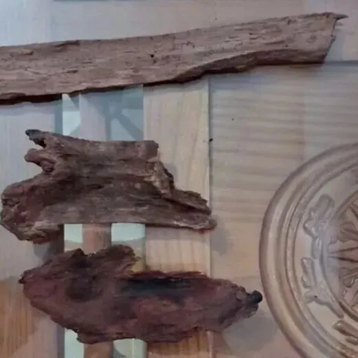 中国商贩<em>高价</em><em>收购</em>腐朽木材引发“进山热”，越南林业部门发出警告