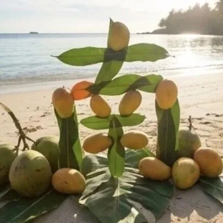 一起出海：“百店一億”賦能計劃