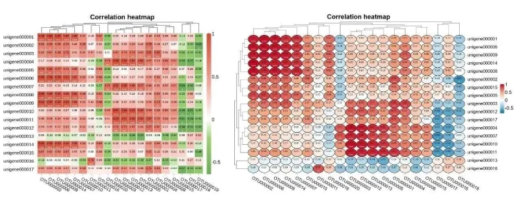 相关性分析热图怎么画？绘图与应用都在这