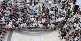 我,25岁,上个月炒鞋只赚了100万!_行业观察_电商报