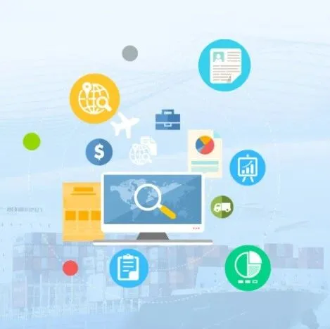 查询报关单的步骤