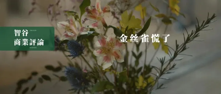 从全球首富到股价腰斩，AI泡沫的红灯在报警