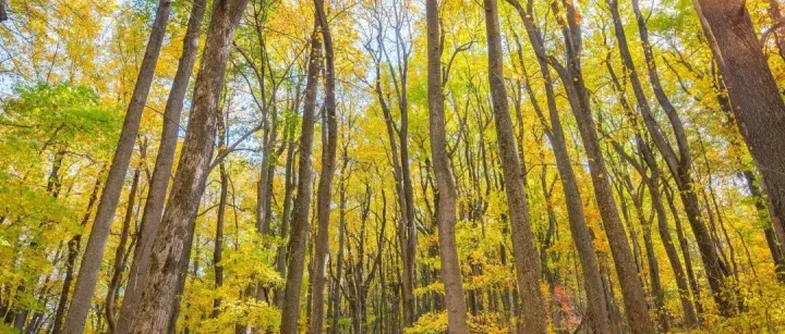 低功耗 14<em>bit</em> 高精度 SAR ADC 芯片 IP 研发技术论证报告