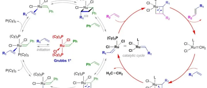 Grubbs催化剂一代、二代、三代的特点