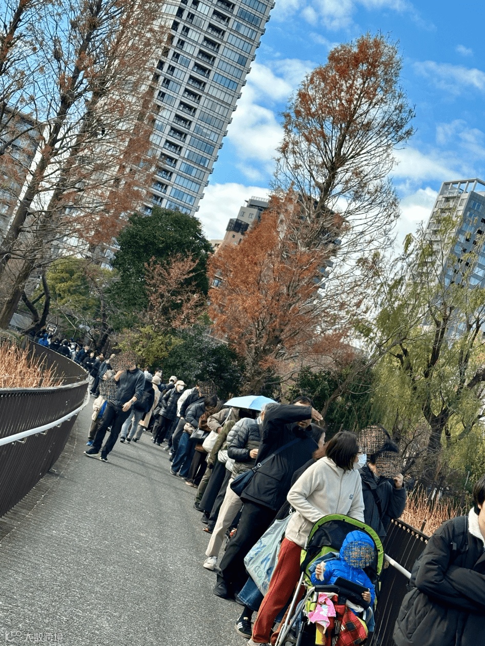 两只大熊猫下月返回中国，引来大批“粉丝”涌动物园道别。