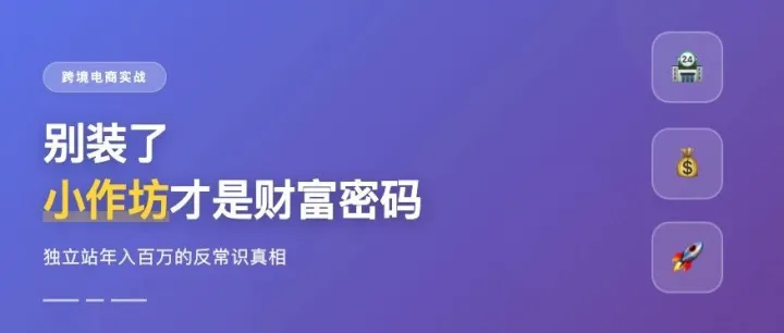 中国卖家出海别装了:越"小"越赚钱的反常识真相
