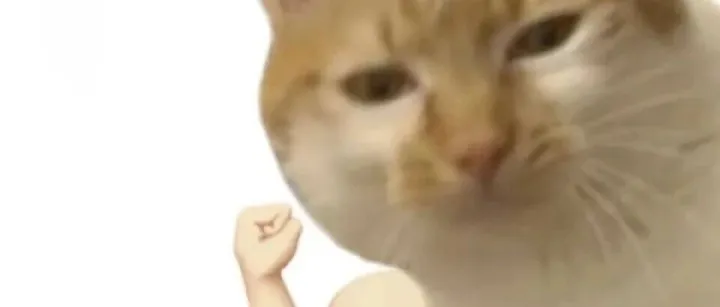 表情包:我是坏样的