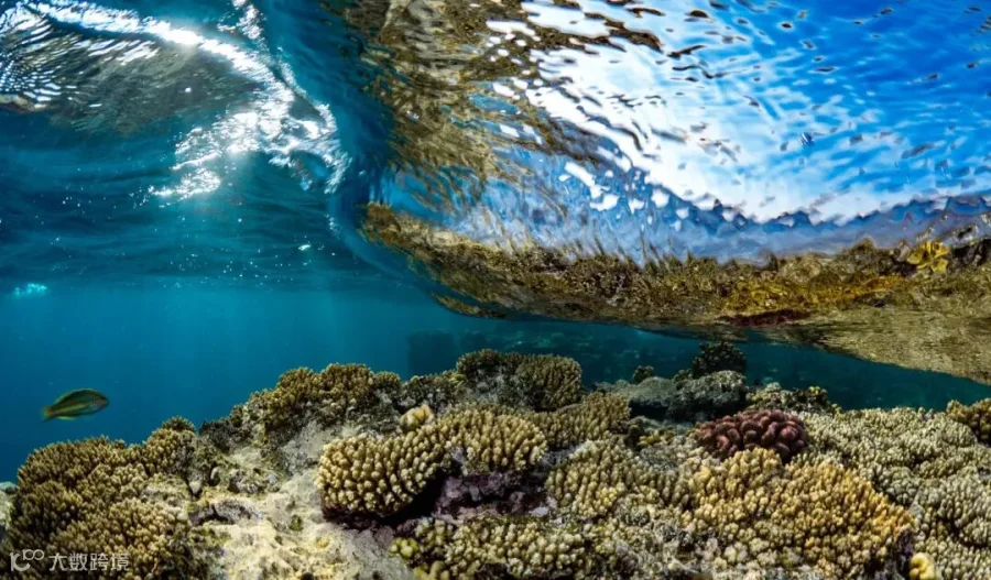 通向红海的城市——吉达_潜水_建筑_沙特