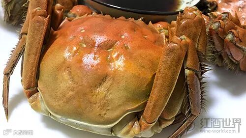 “蟹”逅白葡萄酒