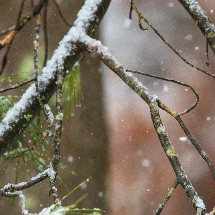 ADI公司：仪表放大器产品及未来技术规划