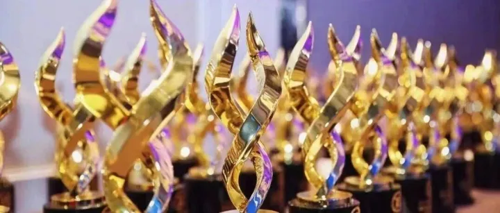 荷塘新闻｜荷塘创投荣膺“第一新声”、“中国风险投资研究院”等机构的多项荣誉