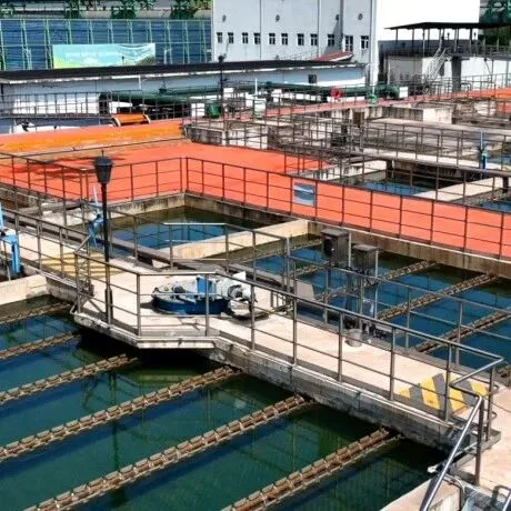 【特别聚焦】<em>沙</em>钢：钢铁巨擘的战略远征