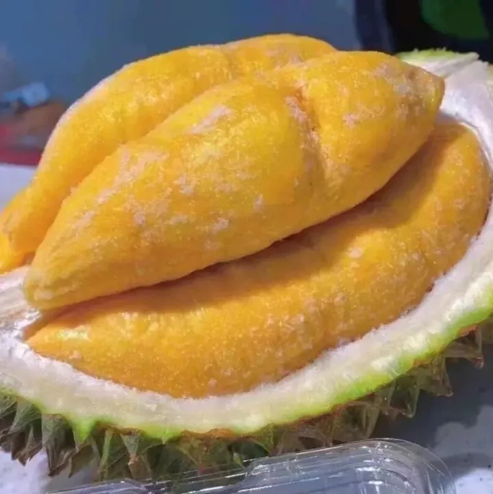 【海外产品推荐】马来西亚猫山王榴莲