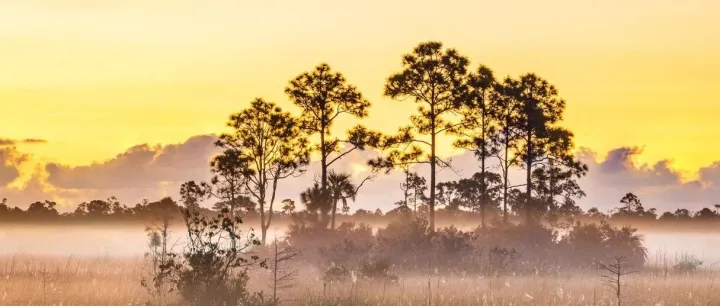 三星Exynos 2600芯片<em>技术指标</em>