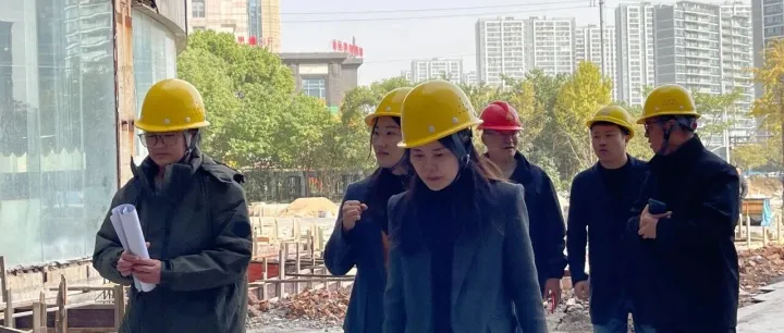聚焦 | 公司领导长三角重点项目年终巡查