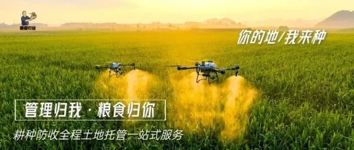 巴林左旗：全程土地托管一站式服务“新模式”让农民当上“甩手掌柜”