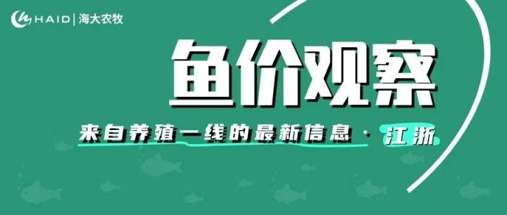 鱼价观察 |  有人等着继续涨，有人害怕再跌价……存塘的鱼要怎么办？12月16日塘头聚焦