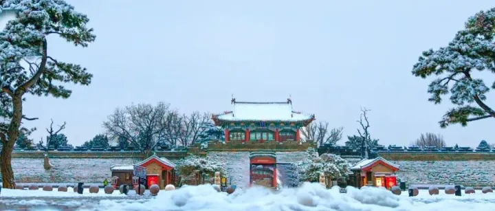 岱庙雪景｜飞檐挂雪，碑碣凝霜，美成诗画