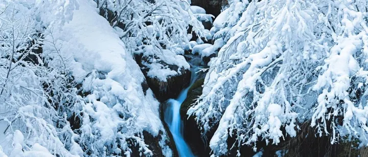 IEEE Fellow：Arimoto, Kazutami（<em>2010</em>）-DRAM