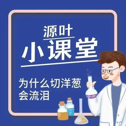 【源叶】小课堂——冬季防静电小妙招