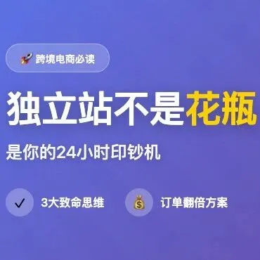 为什么你的独立站只烧钱不赚钱?90%的人都踩了这3个坑